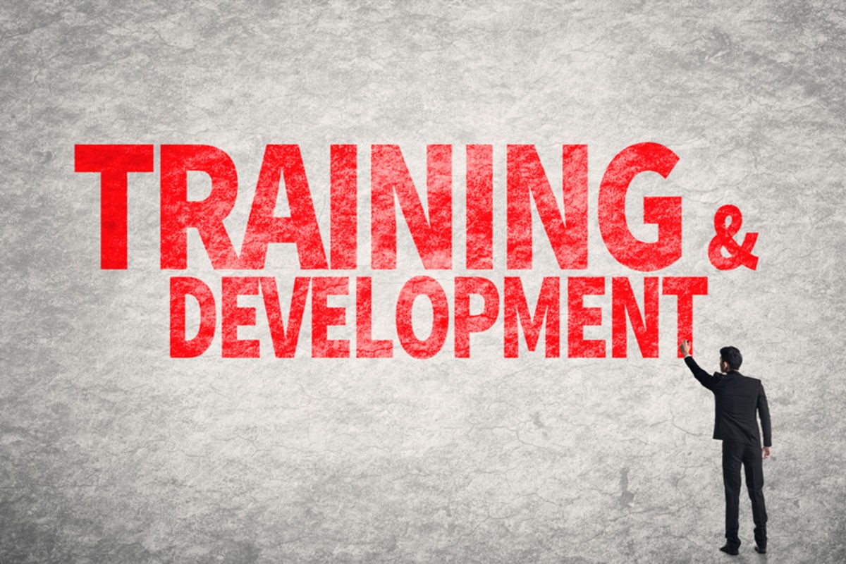 benefits-of-training-and-development-in-an-organization-lowkeytech