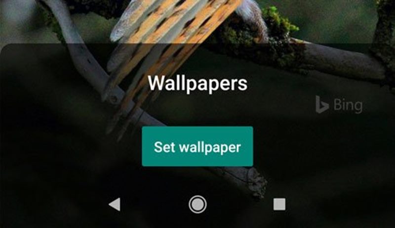 1591008434 How to Set Bings Daily Photos as Wallpaper on Android