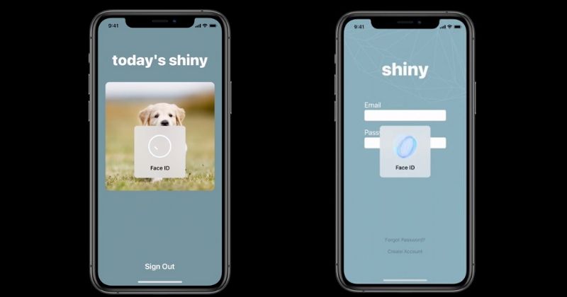 1593159334 Safari 14 To Support Face ID and Touch ID Logins