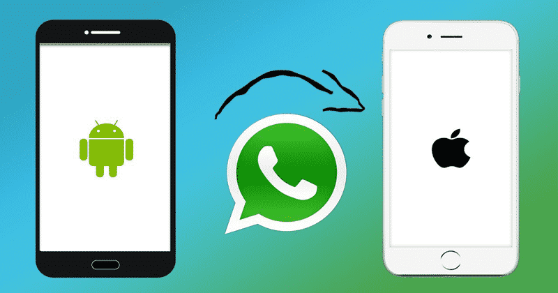 1594803524 How To Transfer WhatsApp Chats From Android to iPhone