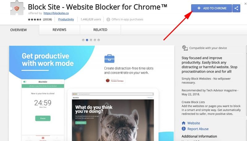 install the Block Site Google Chrome extension