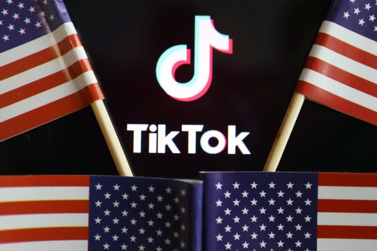 US Campaign Launches Ads Promoting TikTok Ban