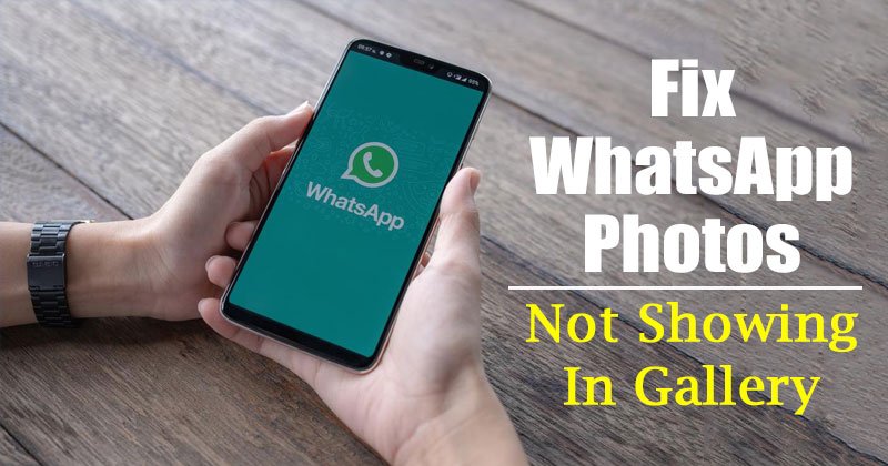 1616180160 How to Fix WhatsApp Images Not Showing in Gallery Android