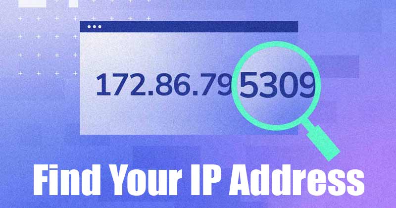 1622754559 How to Find Your Public Local IP Address Windows