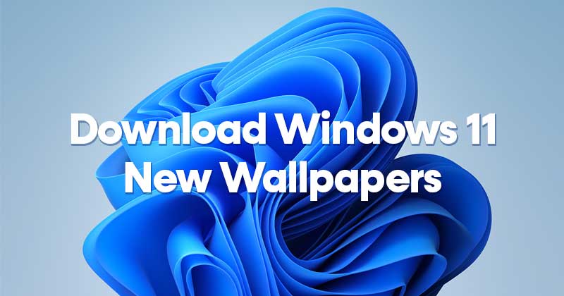 Download the New Windows 11 Wallpapers On PCLaptop