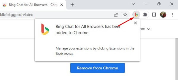 Bing browser extension