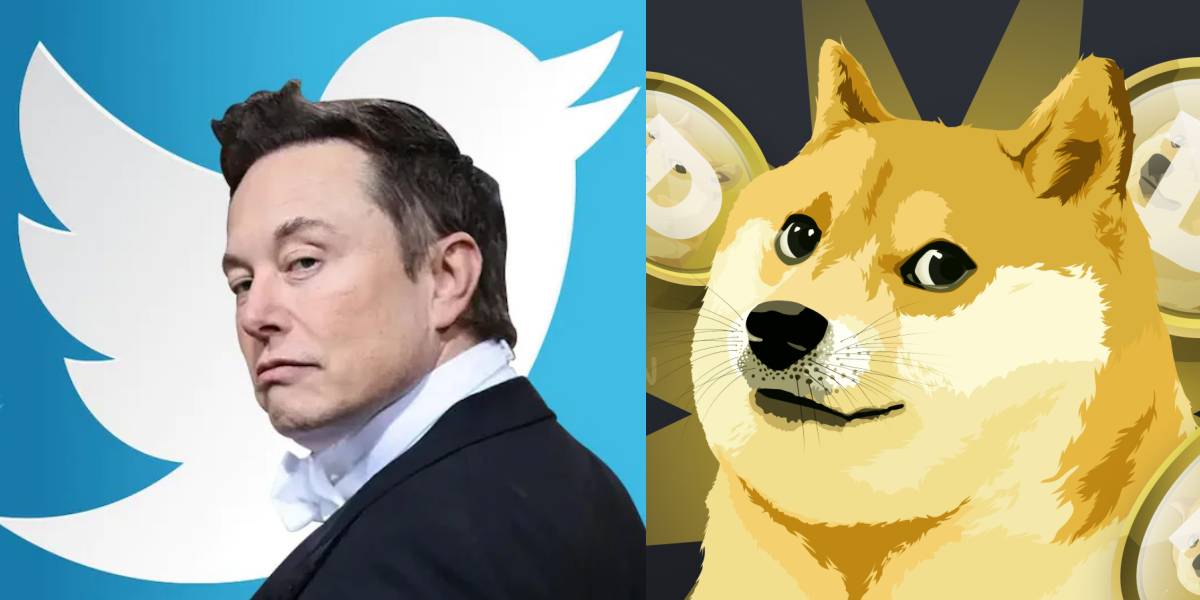 Elon Musk Replaced Twitter's Bird Logo to 'Shiba Inu Dog'