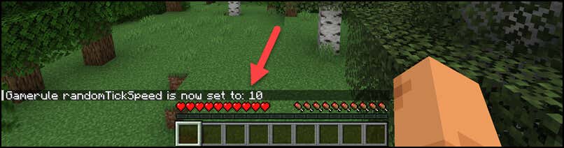 1694886075 704 How to Change Tick Speed in Minecraft