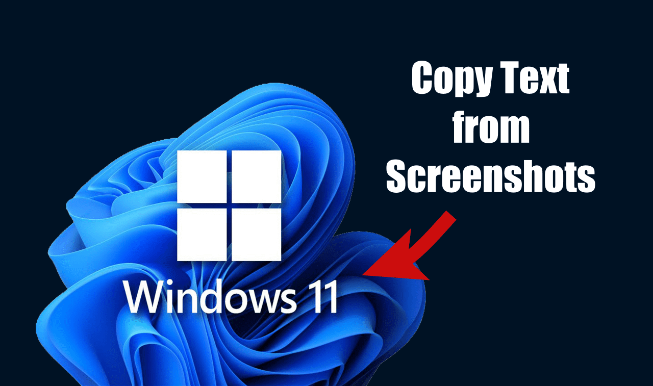 How to Copy Text from Screenshots on Windows 11 3