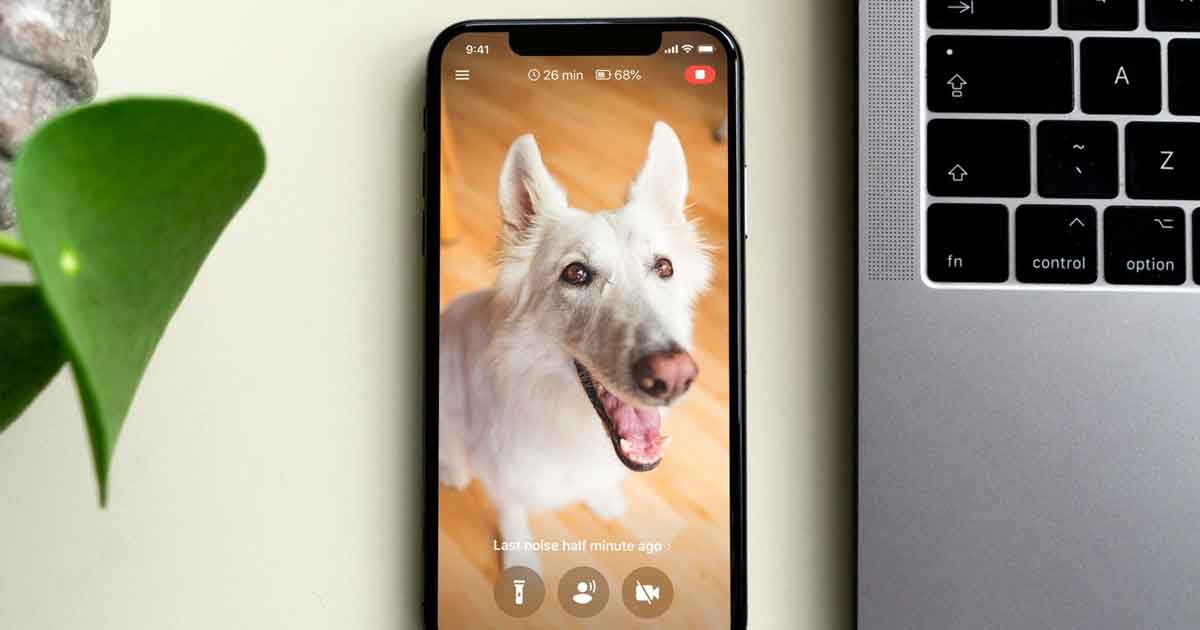 1703512463 5 Best Dog Monitoring Apps for iPhone