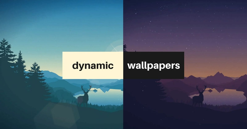 How to Get Dynamic Wallpapers on Windows 11 in 2024