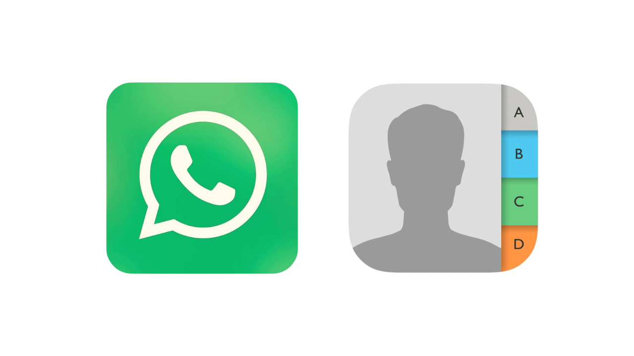 Fix Contacts Not Showing Up on WhatsApp