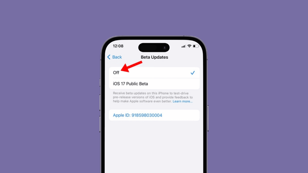 How to Turn Off Beta Updates on iPhone