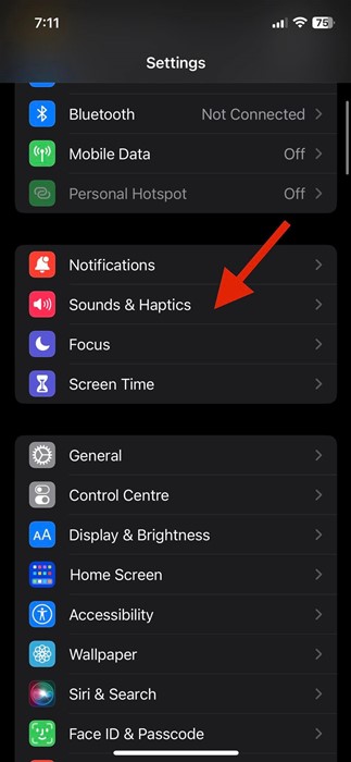 How to Unsilence Calls on iPhone in 2024 8 Methods