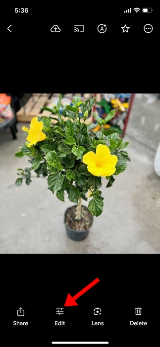 How to Get iOS 18s Clean Up Feature on Older